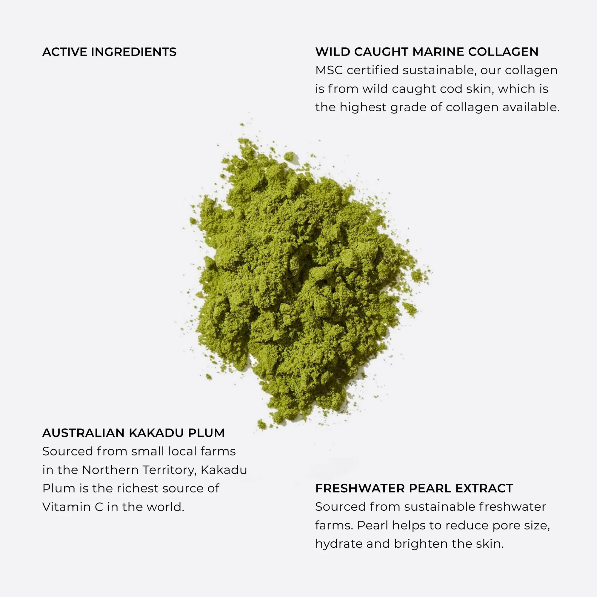 Par Olive Pearl Marine Collagen Superpower (Ceremonial Grade Matcha)