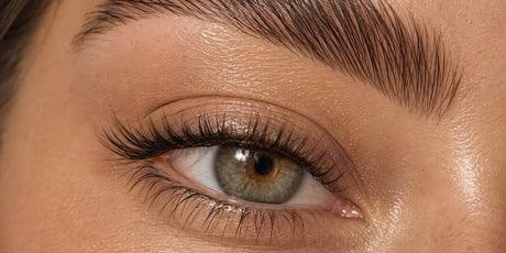 Brow Lamination & Tint