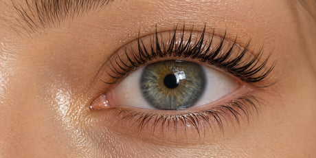 Lash Lift & Tint