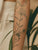 Pico Laser Tattoo Removal